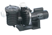 Sta-rite Pool Motor 