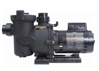 Jandy Pool Pump